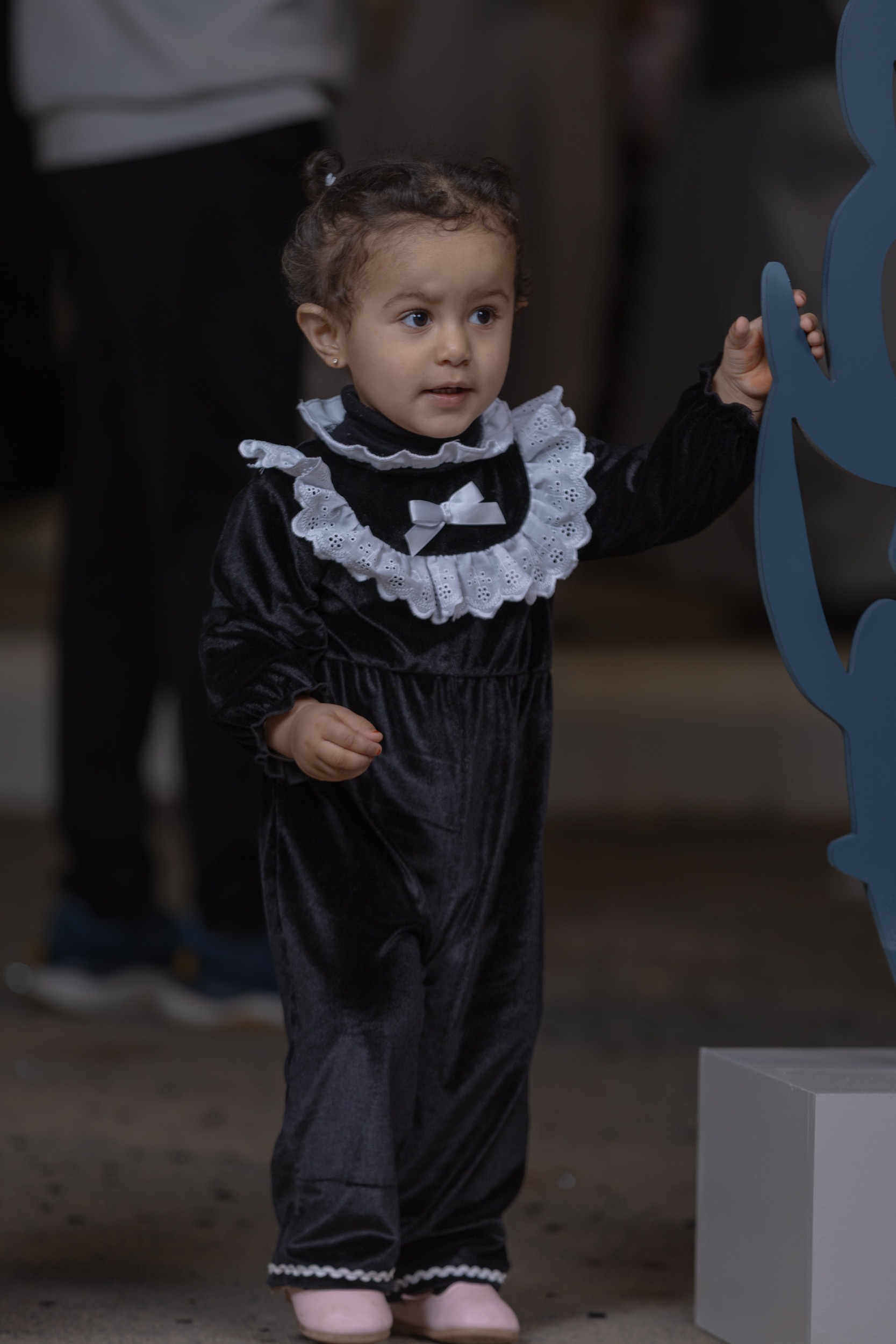 الفيحاء يقيم فعالية " حوامة الفيحاء"